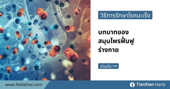 วิธีการรักษาโรคมะเร็ง และบทบาทของสมุนไพรฟื้นฟูร่างกาย