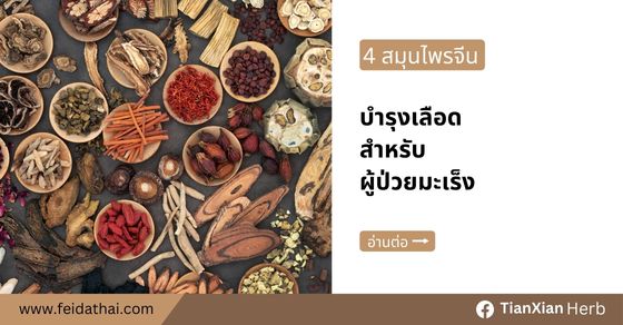 4 สมุนไพรจีนบำรุงเลือดสำหรับผู้ป่วยมะเร็ง