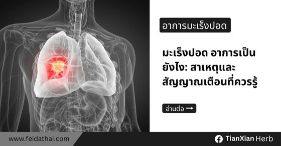 มะเร็งปอด อาการเป็นยังไง: สาเหตุและสัญญาณเตือนที่ควรรู้
