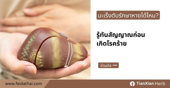 มะเร็งตับรักษาหายได้ไหม? รู้ทันสัญญาณก่อนเกิดโรคร้าย