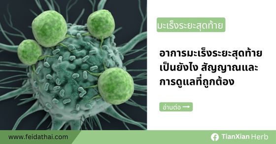 อาการมะเร็งระยะสุดท้ายเป็นยังไง สัญญาณและการดูแลที่ถูกต้อง