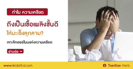 การทำงานของคอร์ติซอลที่หลั่งออกมาเมื่อเผชิญความกดดัน และส่งผลเสียต่อการทำงานของเม็ดเลือดขาว