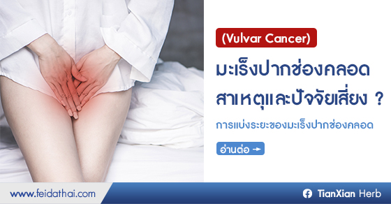 มะเร็งปากช่องคลอด (Vulvar Cancer) สาเหตุและปัจจัยเสี่ยง